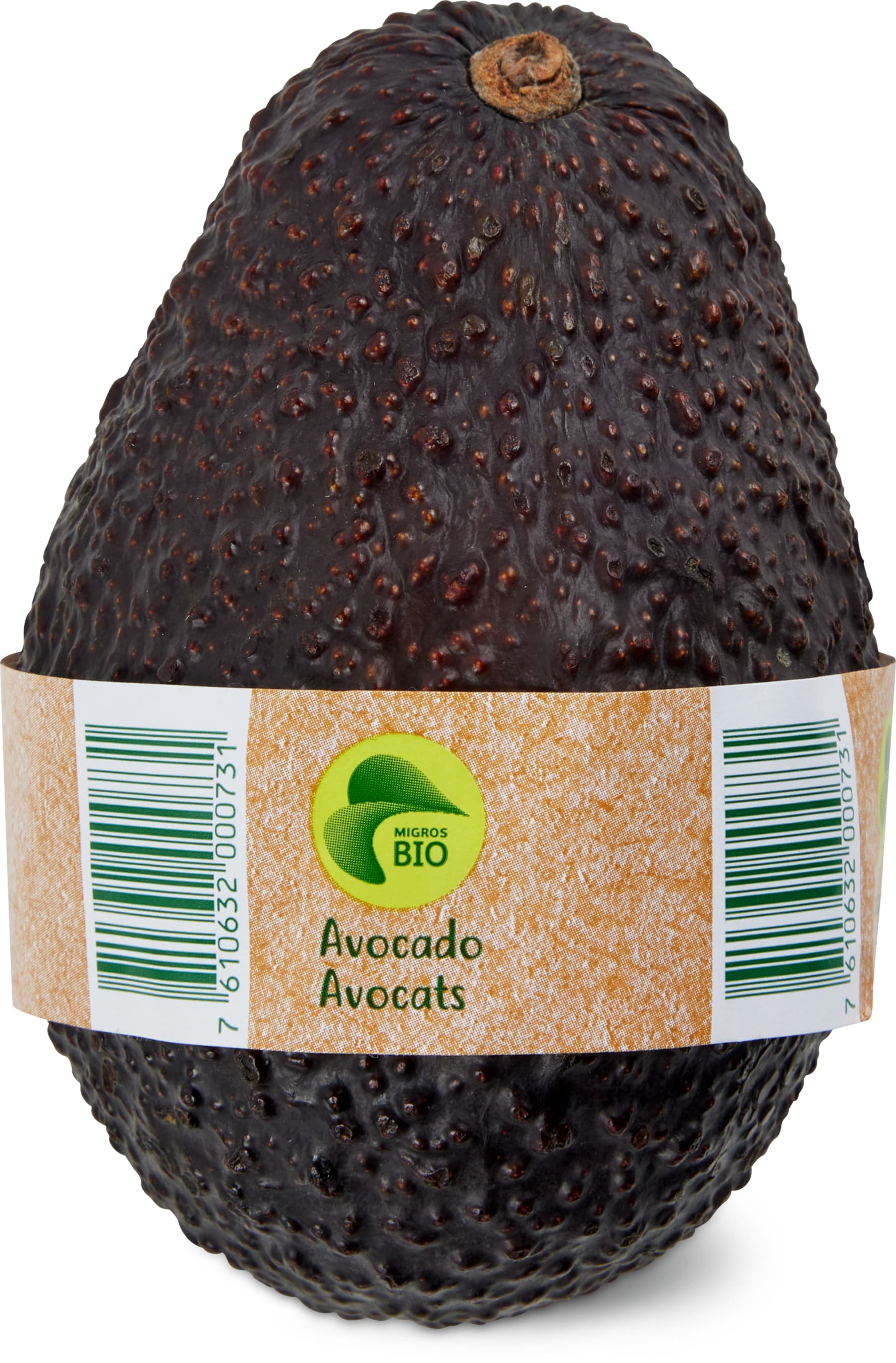 Avocado